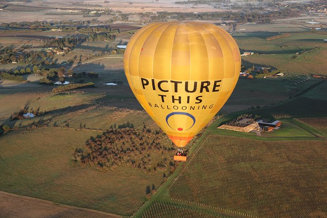 Yarra Valley Sunrise Balloon Flight & Champagne Breakfast - thumb 6