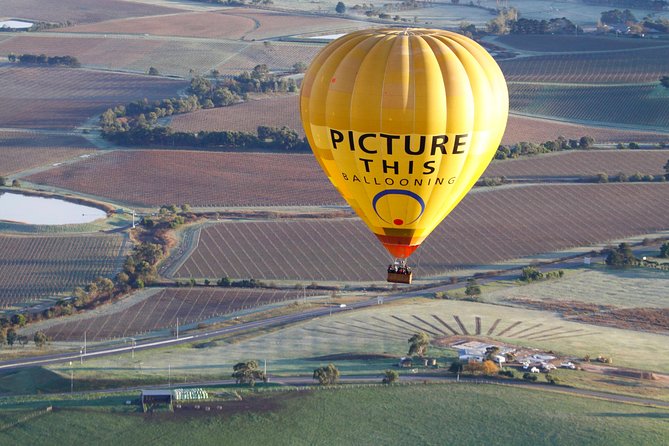 Yarra Valley Sunrise Balloon Flight & Champagne Breakfast - thumb 7