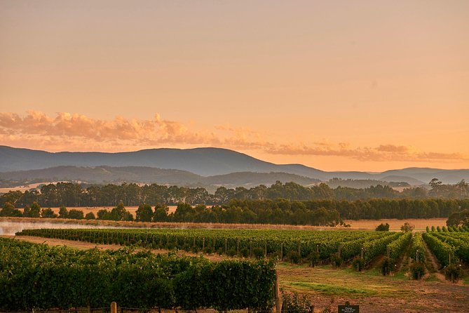 Yarra Valley Overnight Getaway And Private Wine Tour - For 2 - thumb 8