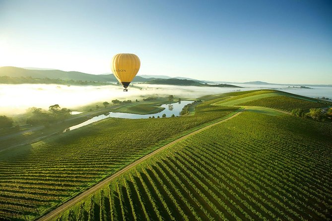 Yarra Valley Wine Tours For 24 Guests - thumb 0