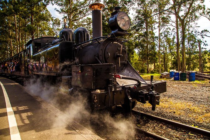 Half Day Puffing Billy Train Journey From Melbourne - thumb 6