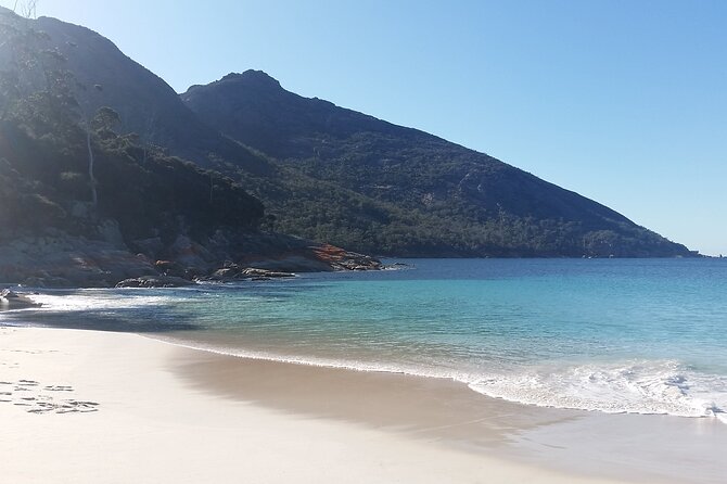 Wineglass Bay And Freycinet National Park Active Day Trip From Hobart - thumb 10