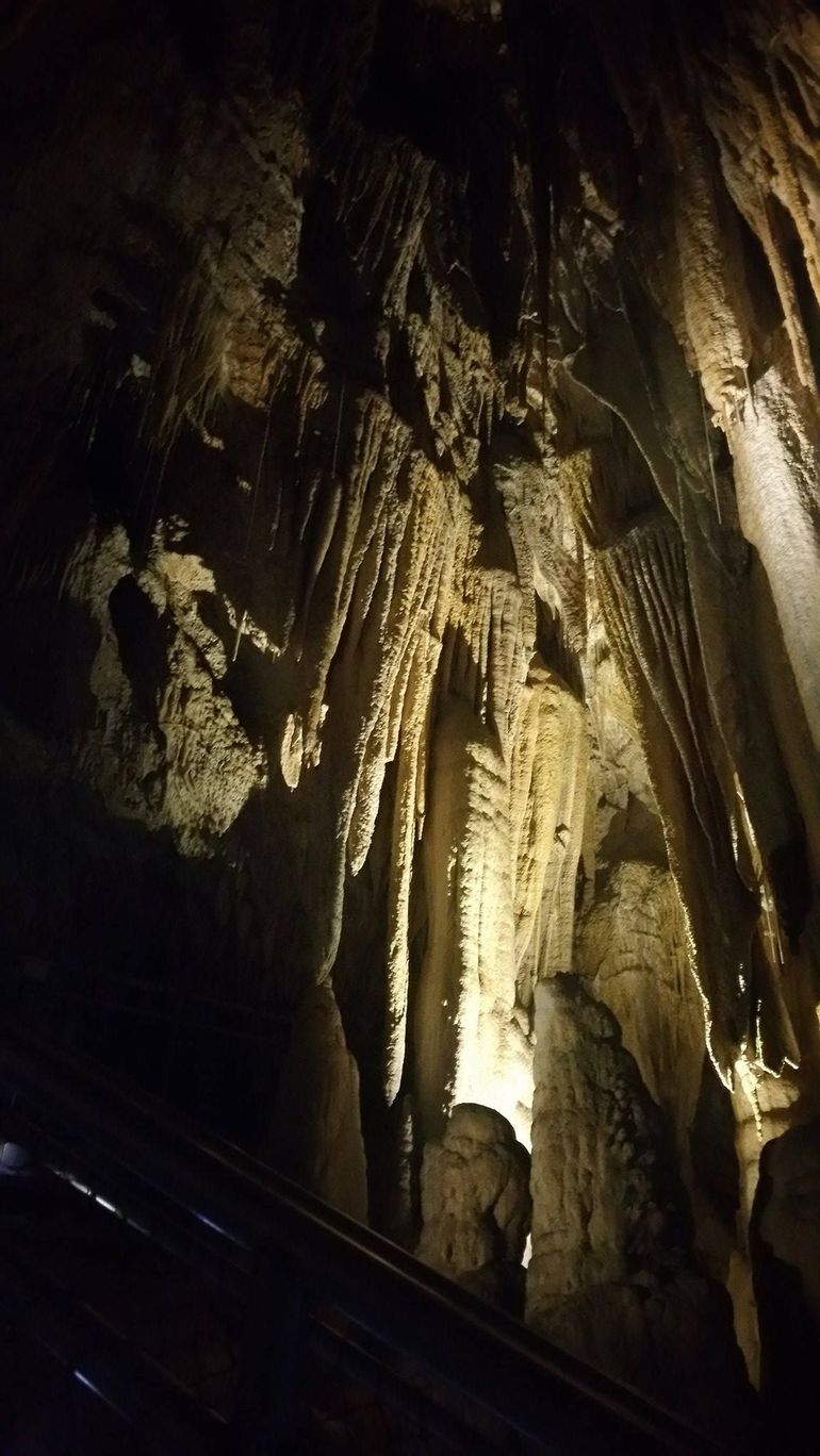 Small-group DayTour From Hobart: Hastings Caves, Huon Valley And Tahune AirWalk - thumb 5