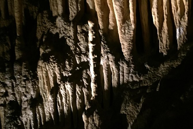 Small-group DayTour From Hobart: Hastings Caves, Huon Valley And Tahune AirWalk - thumb 1
