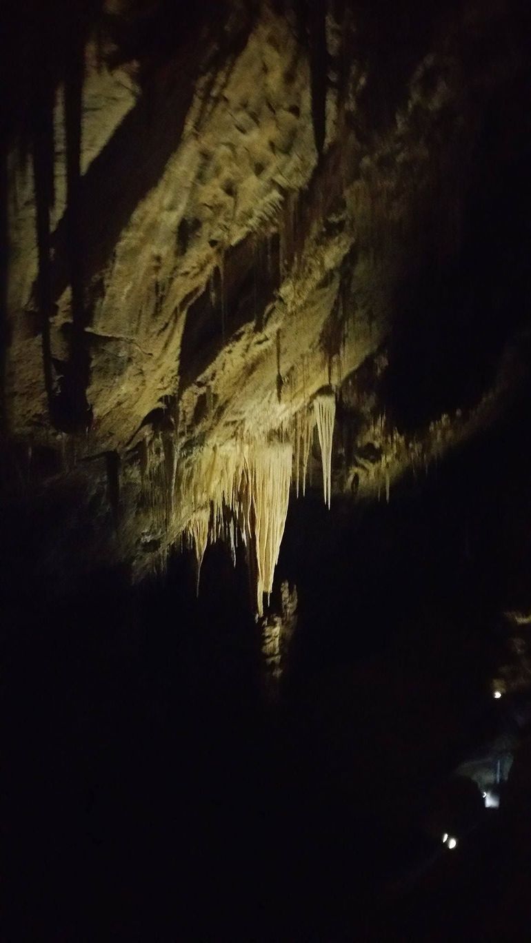 Small-group DayTour From Hobart: Hastings Caves, Huon Valley And Tahune AirWalk - thumb 7