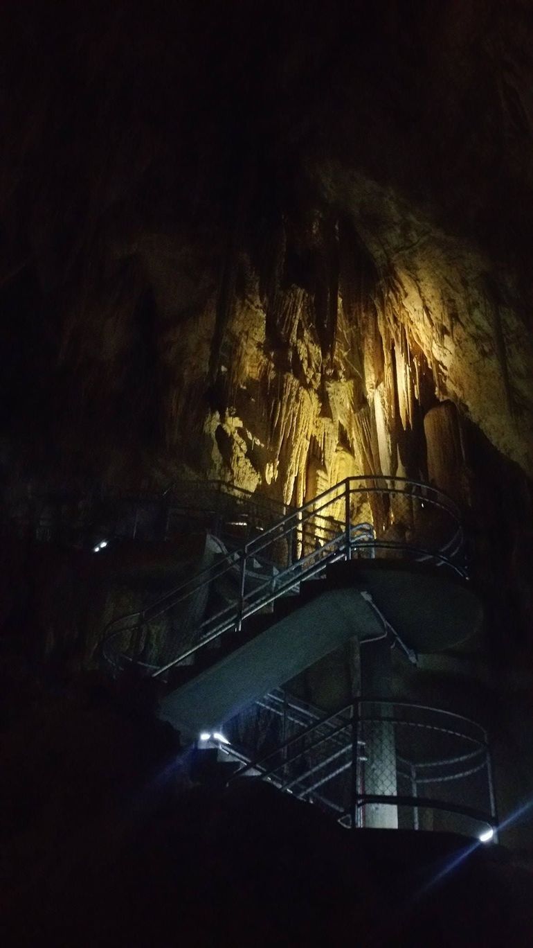 Small-group DayTour From Hobart: Hastings Caves, Huon Valley And Tahune AirWalk - thumb 4