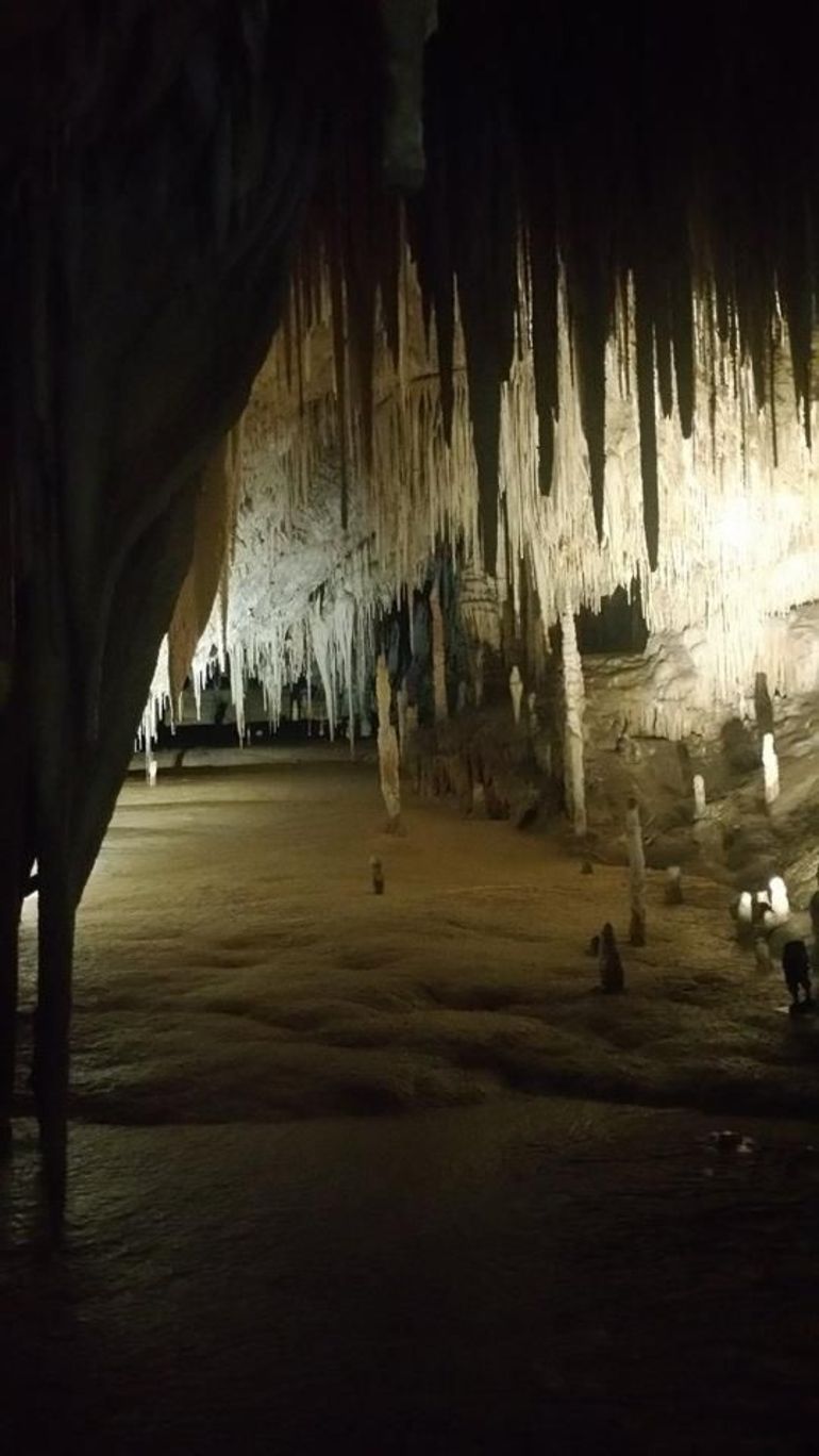 Small-group DayTour From Hobart: Hastings Caves, Huon Valley And Tahune AirWalk - thumb 8