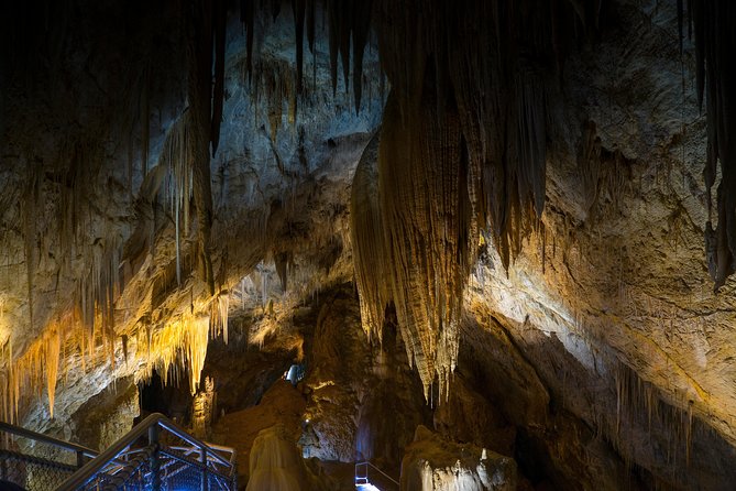 Small-group DayTour From Hobart: Hastings Caves, Huon Valley And Tahune AirWalk - thumb 19