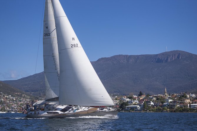 Half-Day Sailing On The Derwent River From Hobart - thumb 7
