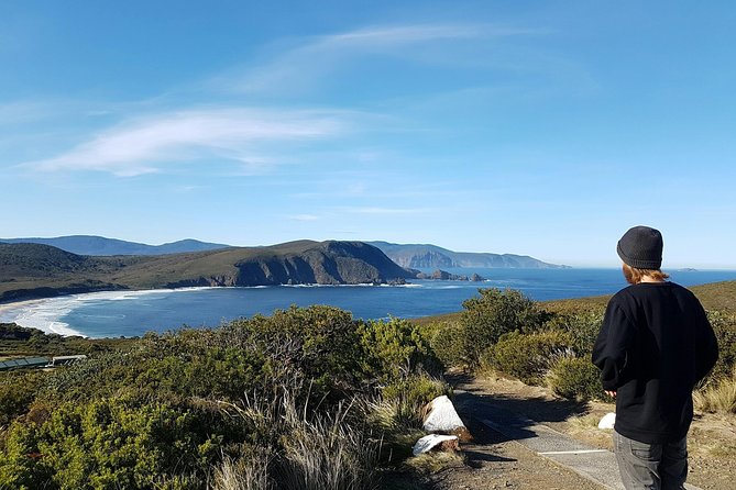 Small-Group Day Trip From Hobart To Bruny Island - thumb 6