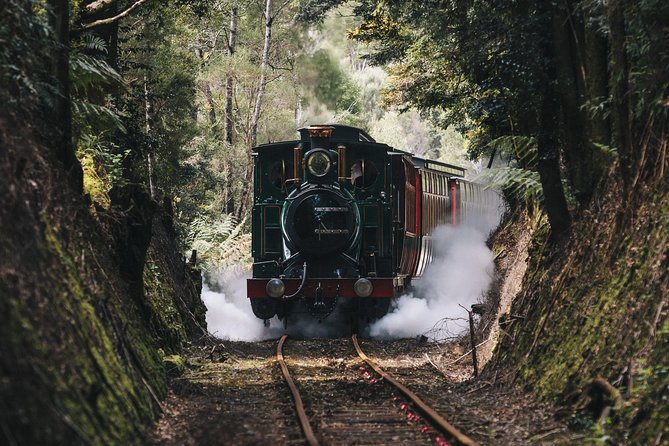 West Coast Wilderness Railway River and Rainforest from Strahan - Accommodation Mt Buller