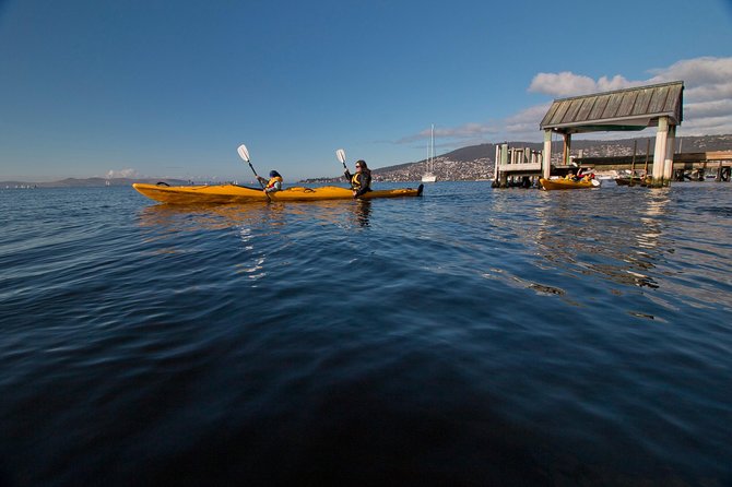 Hobart Kayak Tour - thumb 4