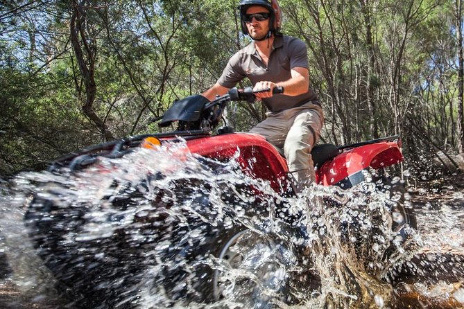 Half-Day Guided ATV Exploration Tour From Coles Bay - thumb 1