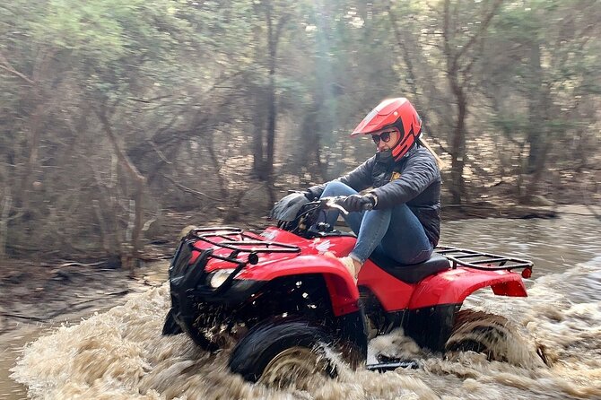 Half-Day Guided ATV Exploration Tour From Coles Bay - thumb 7