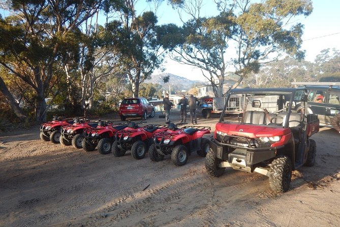 Half-Day Guided ATV Exploration Tour From Coles Bay - thumb 4