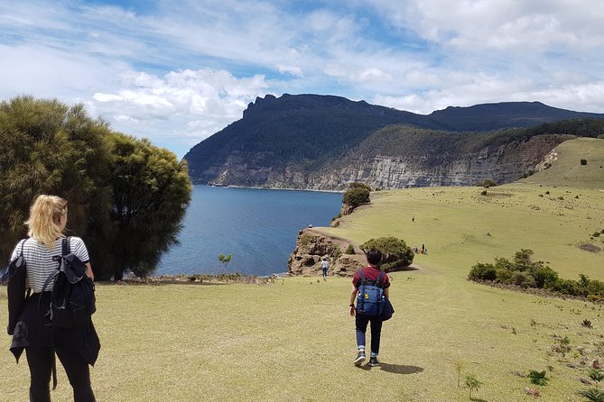 3-Day: Hobart Nature Walking Tour: Maria Island, Cape Raoul & Mount Field - thumb 3