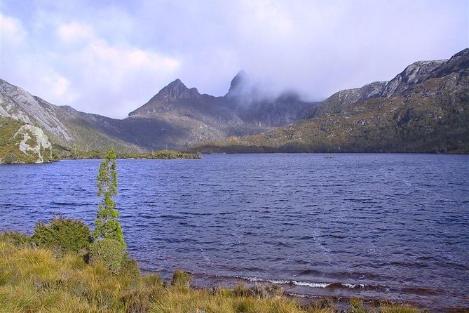Cradle Mountain National Park Day Tour From Launceston - thumb 21