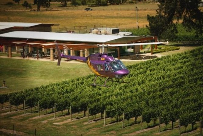 Home Hill Winery Helicopter Tour - Accommodation Tasmania