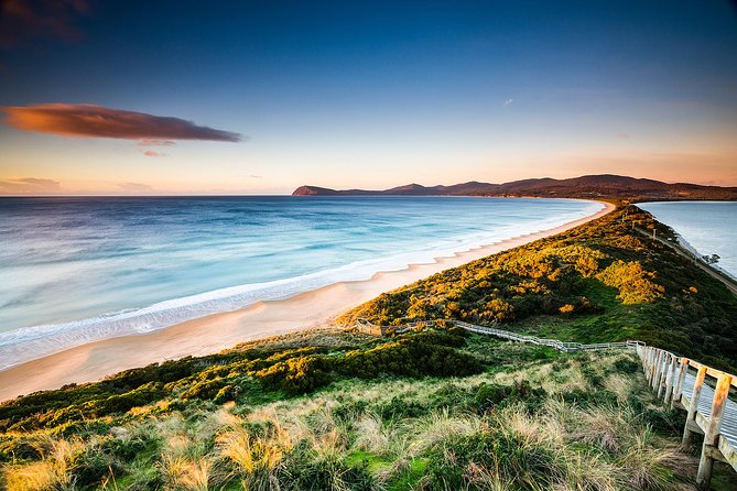 Full-Day Guided Bruny Island Tour From Hobart - thumb 0