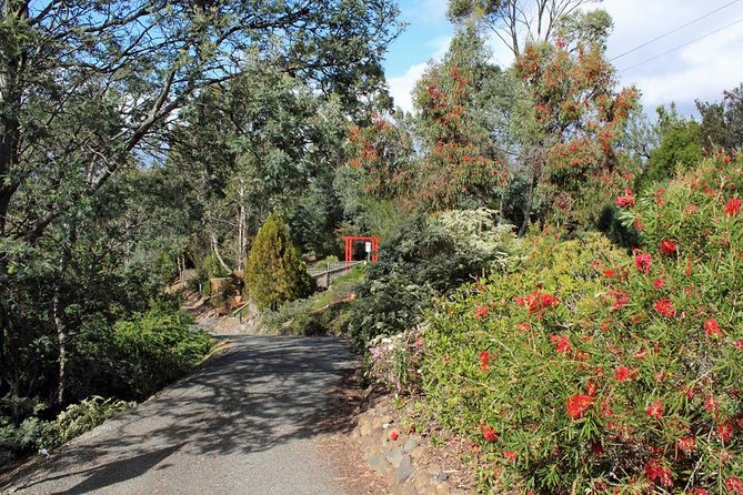 Small-group Tour From Hobart: Native Flora And Fauna, Incl. Royal Bot. Gardens - thumb 11