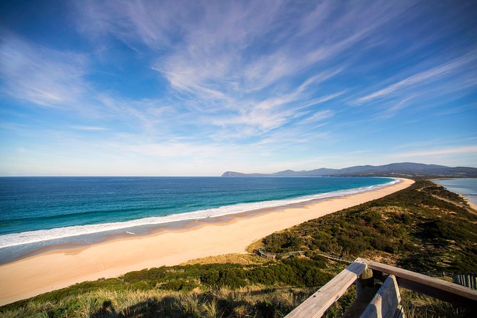 Private Bruny Island Food And Wine Day Trip From Hobart - thumb 1
