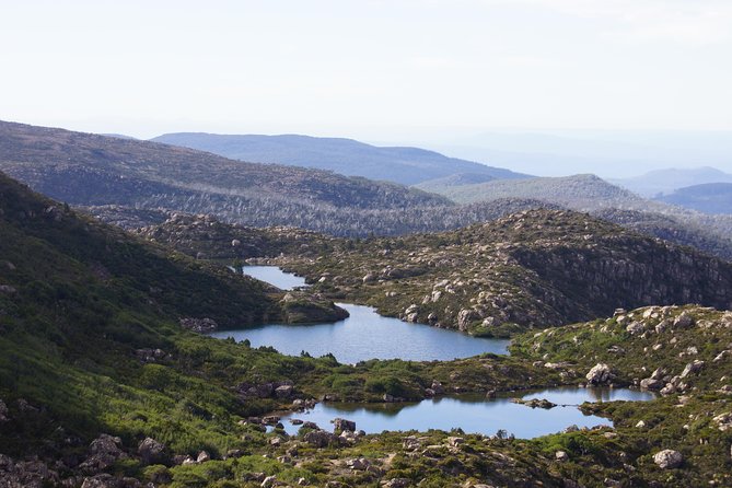2-Day: Hobart Hiking Tour: Cape Raoul And Mount Field - Tarn Shelf - thumb 9