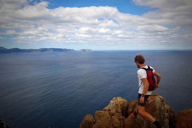 2-Day: Hobart Hiking Tour: Cape Raoul And Mount Field - Tarn Shelf - thumb 2