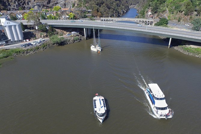 2.5 Hour Morning Discovery Cruise Including Sailing Into The Cataract Gorge - thumb 1