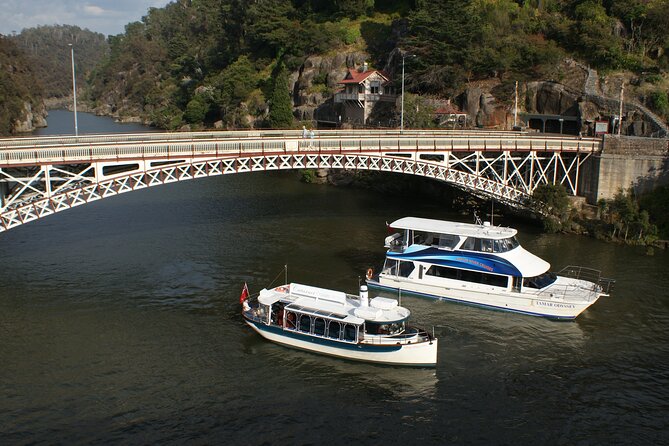 2.5 Hour Morning Discovery Cruise Including Sailing Into The Cataract Gorge - thumb 7