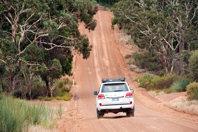Small-Group Kangaroo Island 4WD Tour From Adelaide - thumb 7
