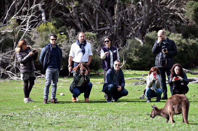 Small-Group Kangaroo Island 4WD Tour From Adelaide - thumb 3