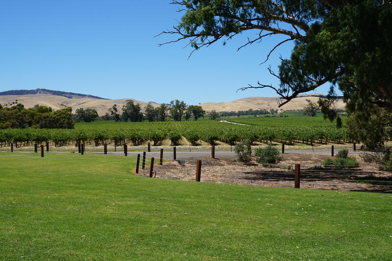 Barossa Valley With Hahndorf Tour From Adelaide - thumb 3