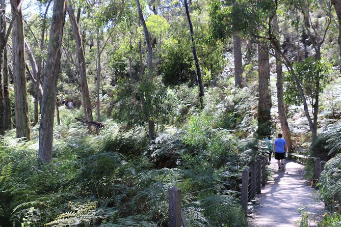 Self-Guided Waterfall Gully to Mount Lofty Hike from Adelaide - Mount Gambier Accommodation
