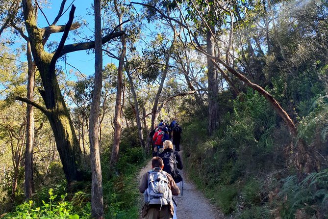 Self-Guided Waterfall Gully To Mount Lofty Hike From Adelaide - thumb 7