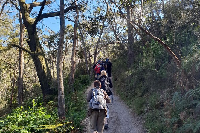 Mount Lofty Hike and Cleland Wildlife Park Day Trip from Adelaide - Port Augusta Accommodation