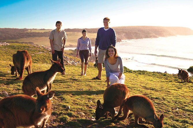 5-Day Adelaide and Kangaroo Island Tour Including Barossa Valley Wine Tasting - Port Augusta Accommodation