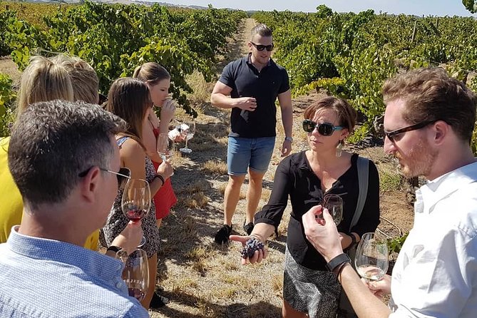 Micro-Group Barossa Valley Wine Tour From Adelaide - thumb 8