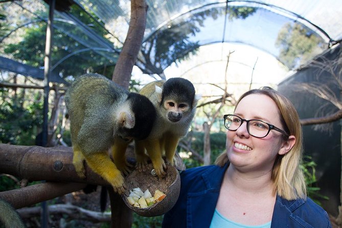 Adelaide Zoo Behind The Scenes Experience: Squirrel Monkey Feeding - thumb 0