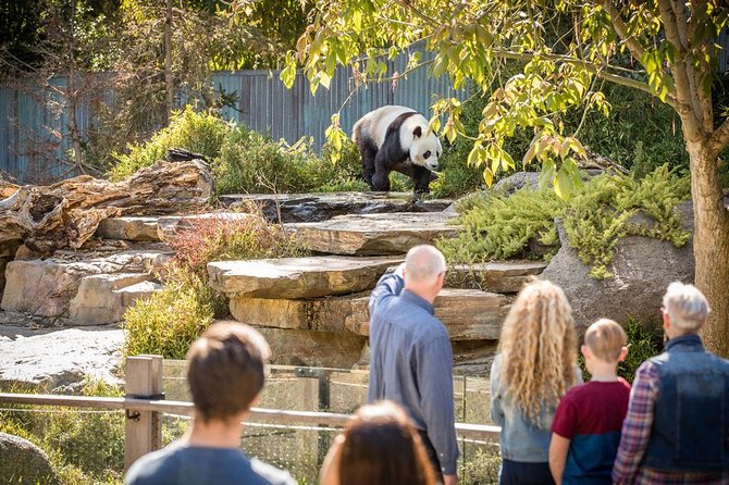 Adelaide Zoo Behind The Scenes Experience: Panda And Friends Tour - thumb 0