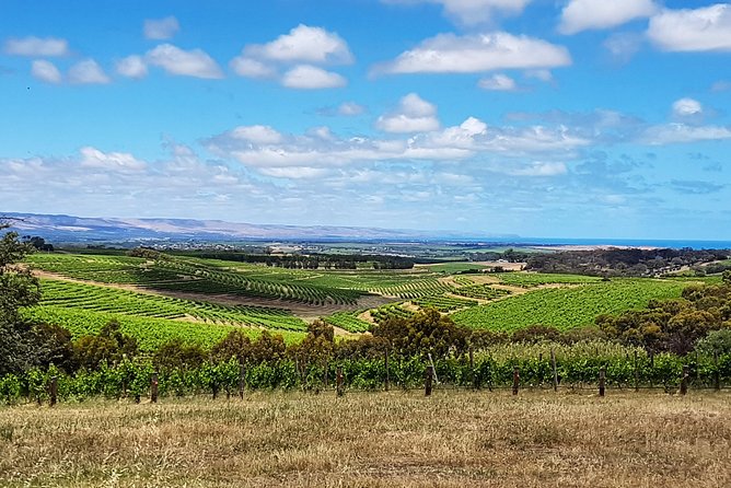 Micro-Group McLaren Vale Wine Tour From Adelaide - thumb 4