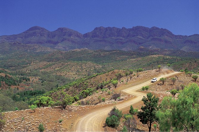 Flinders Ranges 3 Day 4WD Small Group Eco Tour From Adelaide - thumb 9