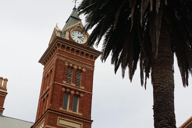 Adelaide Walking Tour: Hills, Squares And Parklands - thumb 5