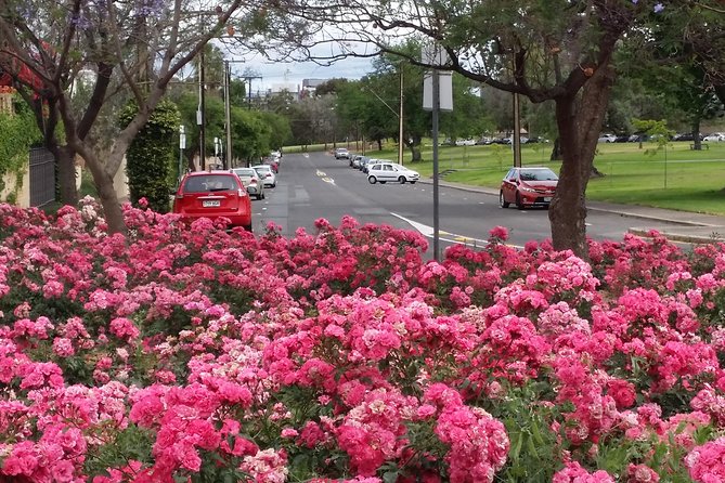Adelaide Walking Tour: Hills, Squares And Parklands - thumb 6