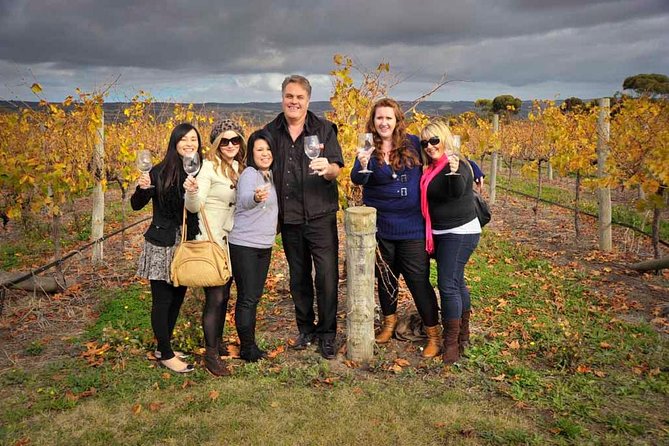 McLaren Vale Winery Small Group Tour With Wine Tasting And Lunch - thumb 0