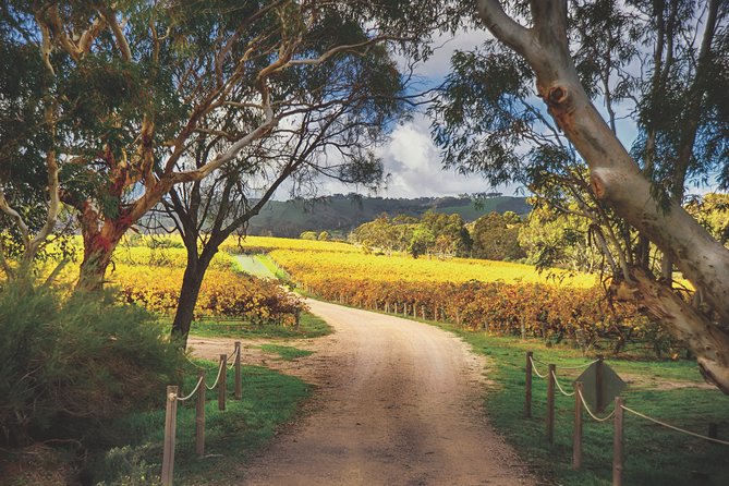 McLaren Vale Winery Small Group Tour With Wine Tasting And Lunch - thumb 3
