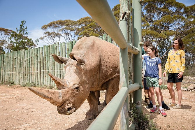 Rhino Interactive And A Day At Monarto Safari Park - thumb 0
