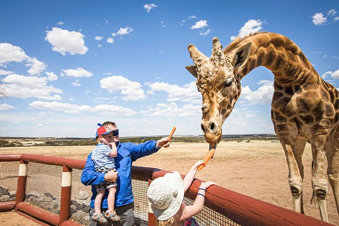 Giraffe Safari And A Day At Monarto Safari Park - thumb 0