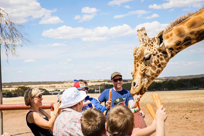 Giraffe Safari And A Day At Monarto Safari Park - thumb 1