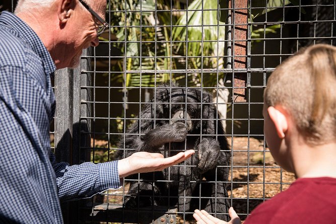 Adelaide Zoo Behind The Scenes Experience: Meet The Primates - thumb 1