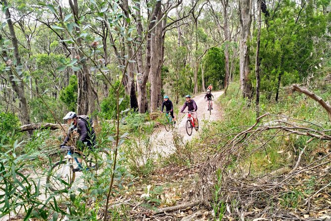 Mount Lofty Descent Bike Tour From Adelaide - thumb 5